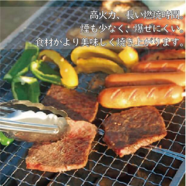 ecoTAN ココナッツチャコール 1㎏ ×12