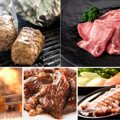 冷凍 超肉感 牛肉ハンバーグも入った5種のお肉セットB(5~6人前)【入数2】