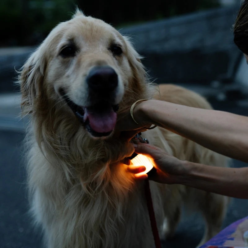 暖色LEDミニランタン Ledlenser ML4 Warm Light