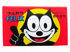 丸川製菓 10 フィリックスガム 1個 x55