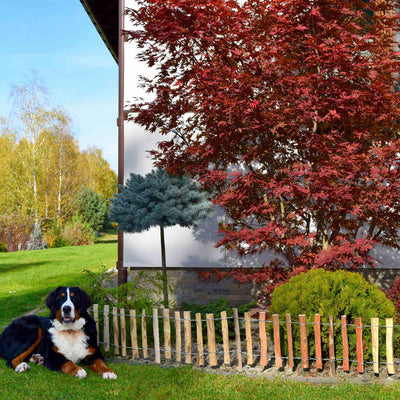 ヘーゼルナッツの木製ロールフェンスH28cm × 4