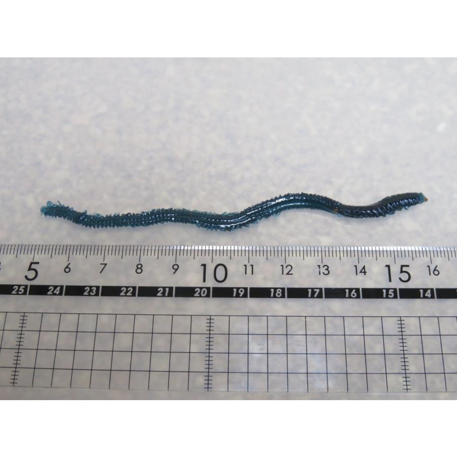 【疑似餌】ナチュラルフェイク 海用 アオイソ リアルカラー