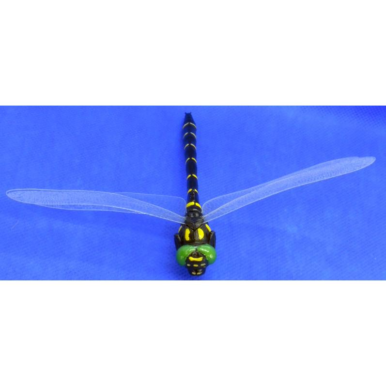 撃退オニヤンマ~・メス・飛行<キット>