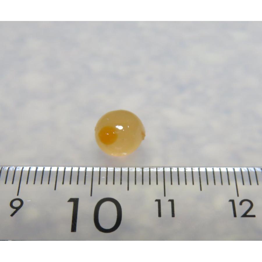 【疑似餌】ナチュラルフェイク 川用 イクラ リアルカラー