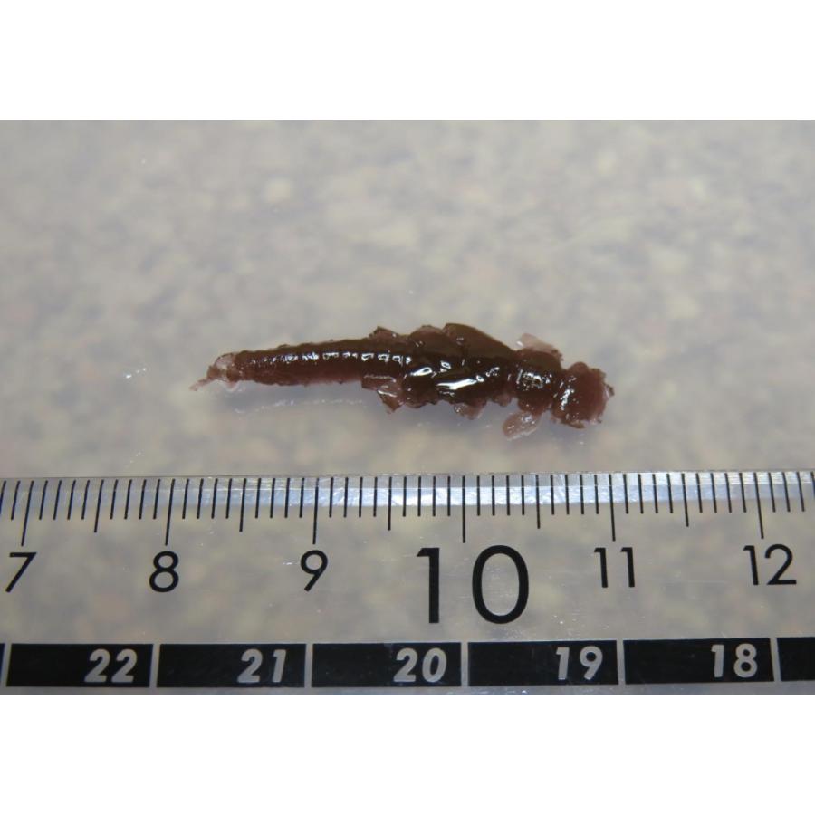 【疑似餌】ナチュラルフェイク 川用 川虫幼虫 リアルカラー