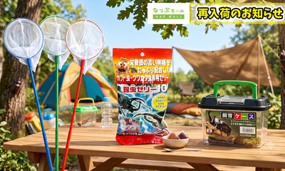 【待望の再入荷】昆虫採集シーズン到来！売店で人気の「虫かご」が再入荷