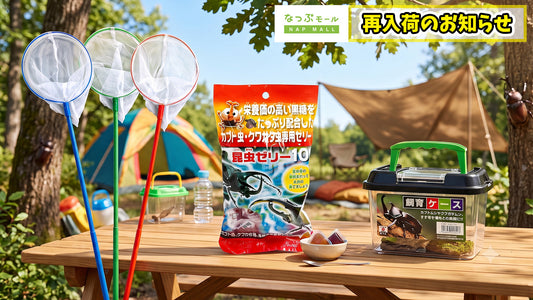 【待望の再入荷】昆虫採集シーズン到来！売店で人気の「虫かご」が再入荷