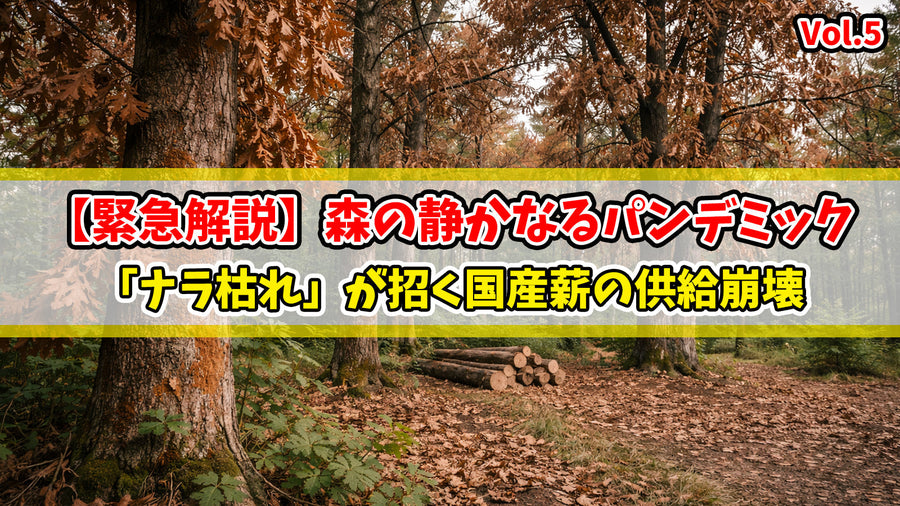 【緊急解説】森の静かなるパンデミック。「ナラ枯れ」が招く国産薪の供給崩壊