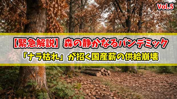 【緊急解説】森の静かなるパンデミック。「ナラ枯れ」が招く国産薪の供給崩壊
