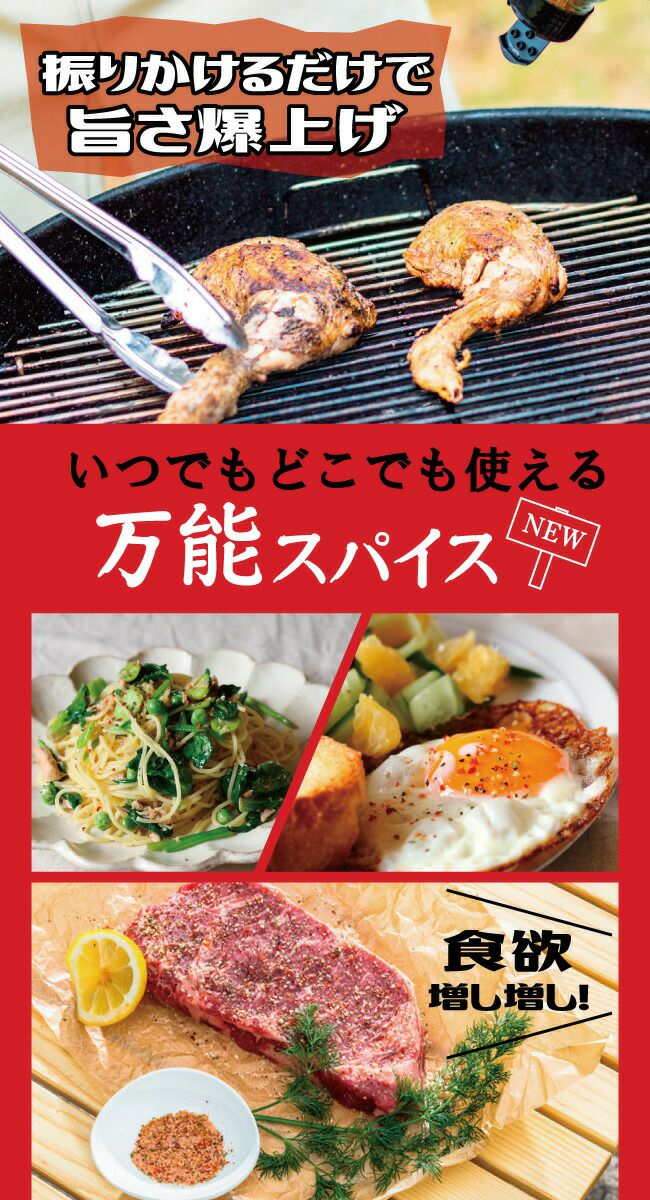 【メーカー取り寄せ品】アウトドアスパイス 「ほりにし」（辛口）×24