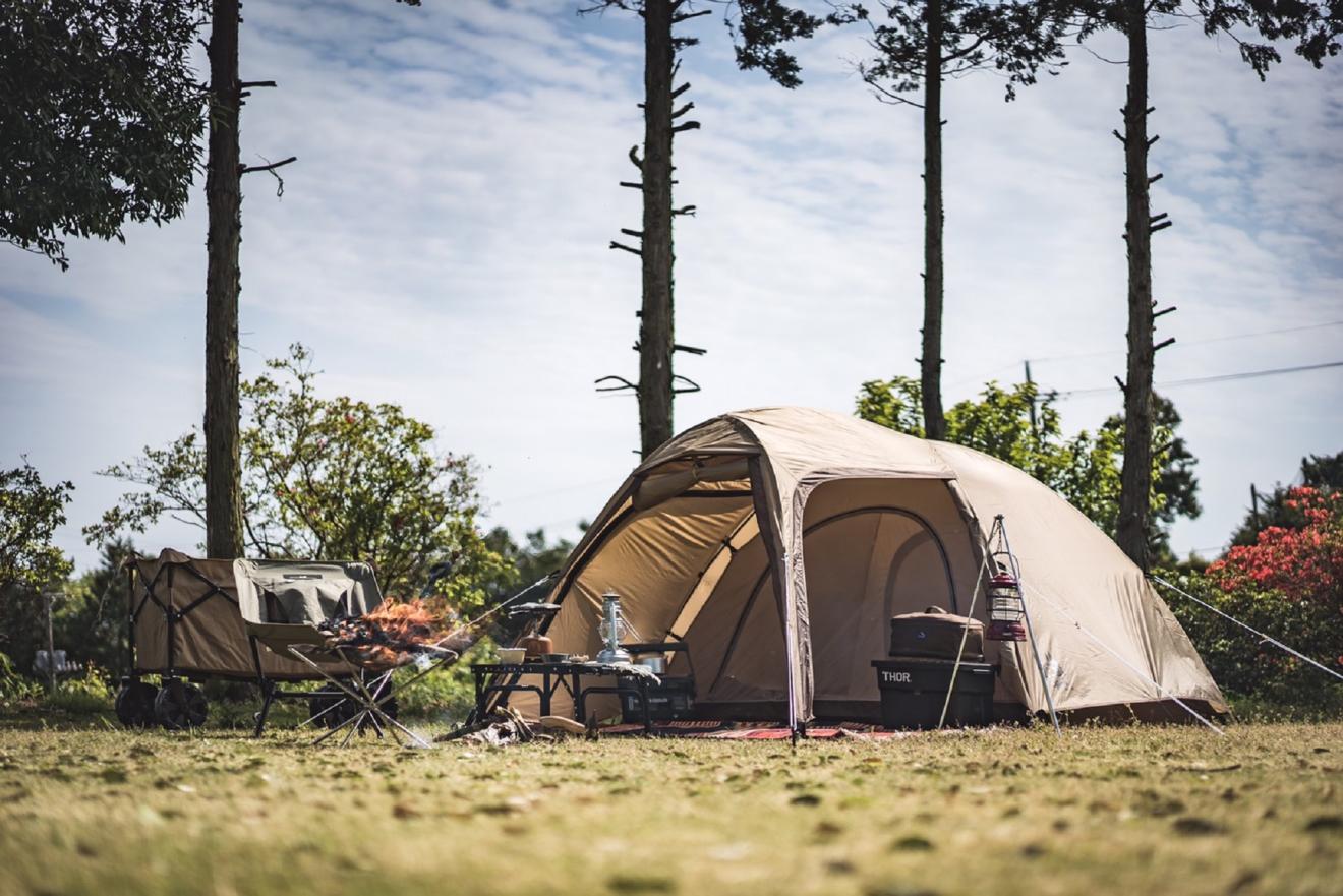 【欠品中】ステイシ－ST-Ⅱ × 1