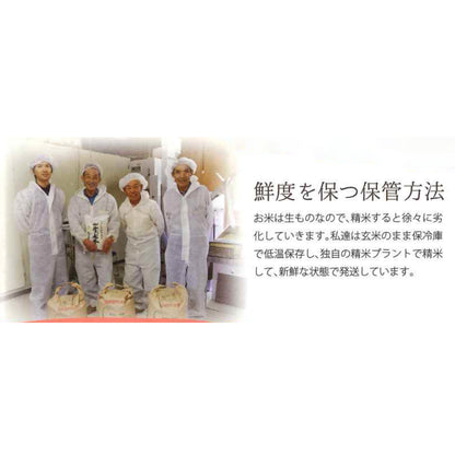 【メーカー取り寄せ品】キャンプ用米(特別栽培米)  × 15