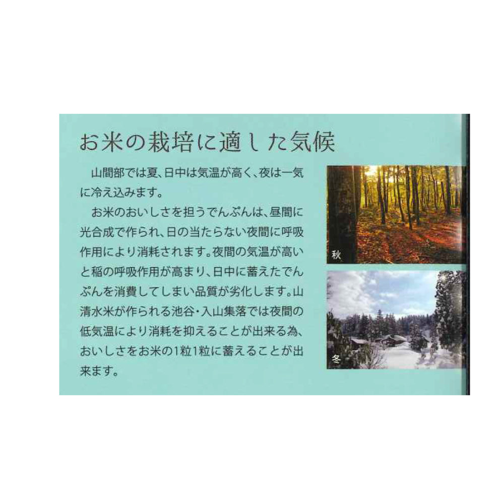 【メーカー取り寄せ品】キャンプ用米(特別栽培米)  × 15