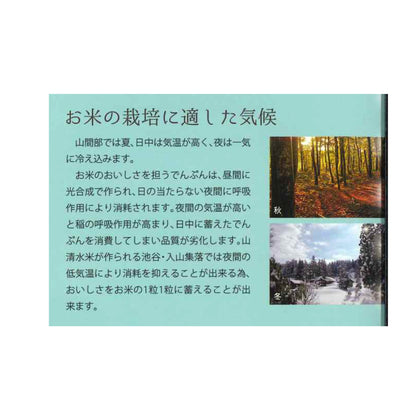 【メーカー取り寄せ品】キャンプ用米(特別栽培米)  × 15