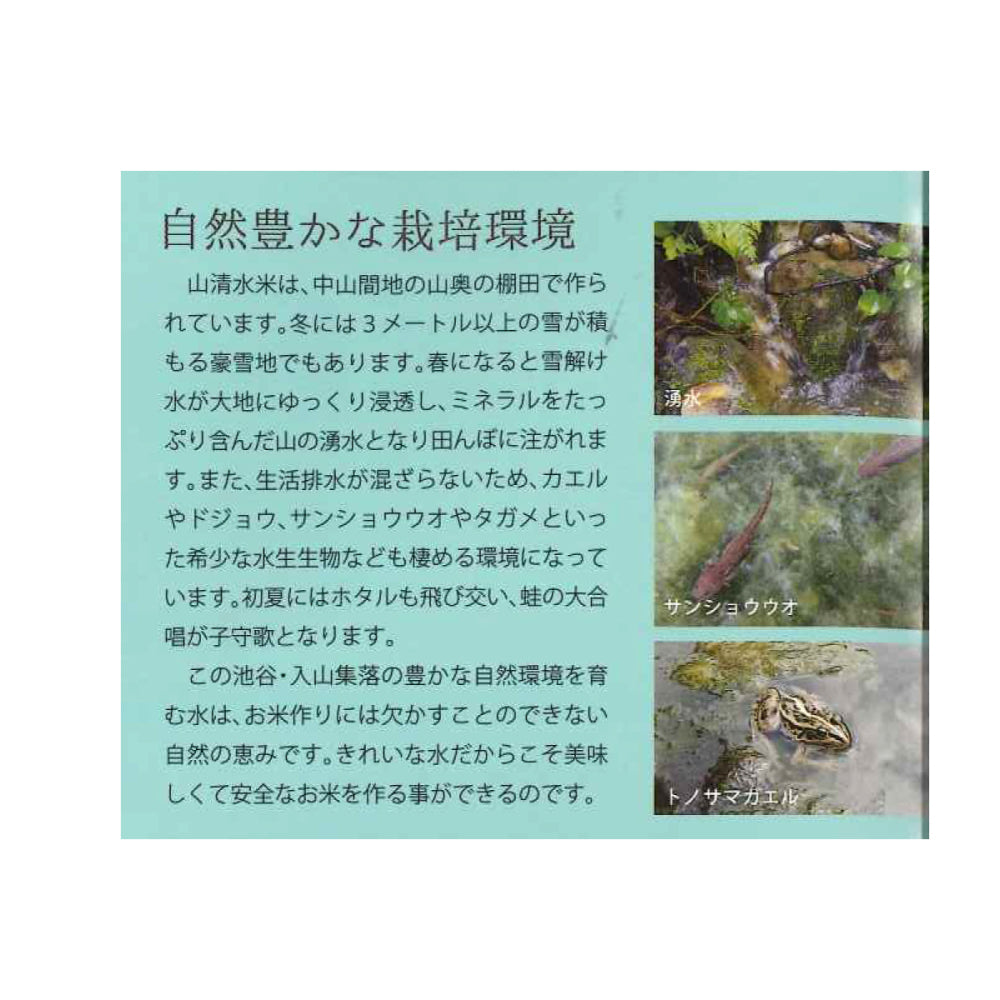 【メーカー取り寄せ品】キャンプ用米(特別栽培米)  × 15