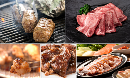 冷凍 超肉感 牛肉ハンバーグも入った5種のお肉セットB（5～6人前）【入数2】