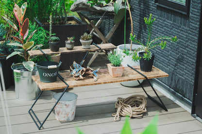 アイアンレッグＬＯＷⅡ x5