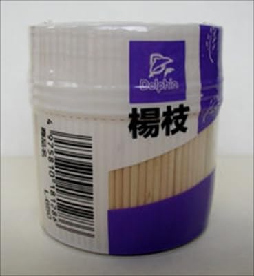 やなぎプロダクツ DN つま楊枝 L-650 約650本入 x1