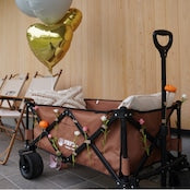 キャリーカート  × 1