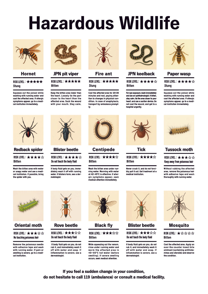 危険生物（陸の生き物）