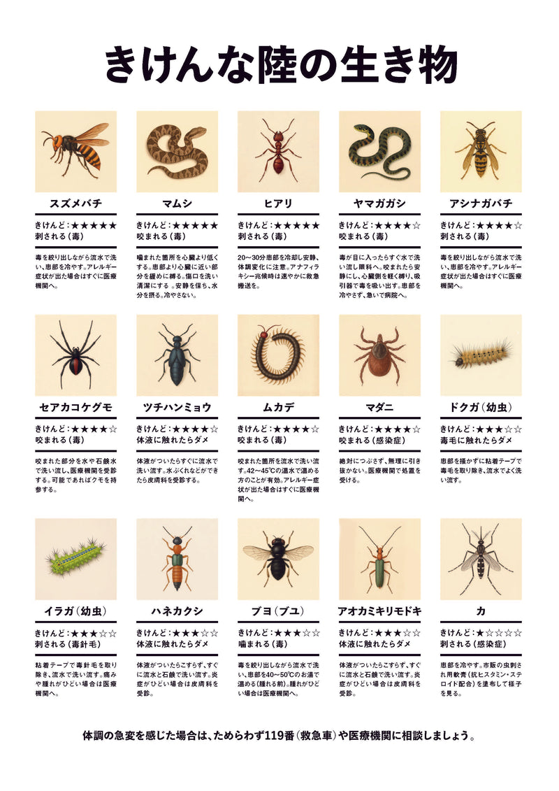 危険生物（陸の生き物）