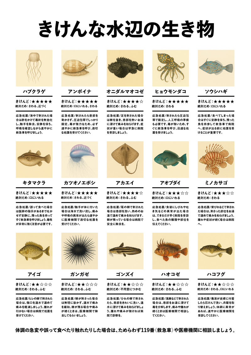 危険生物（水辺の生き物）