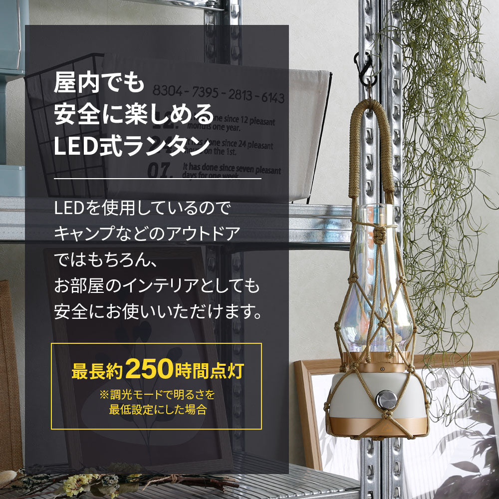 【ebi】オーロラランタン KOHAKU　×1