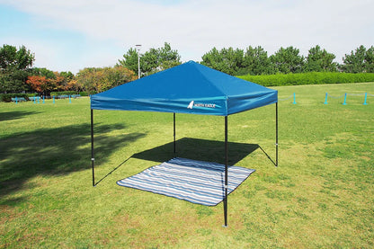 スカイキャノピー　×1