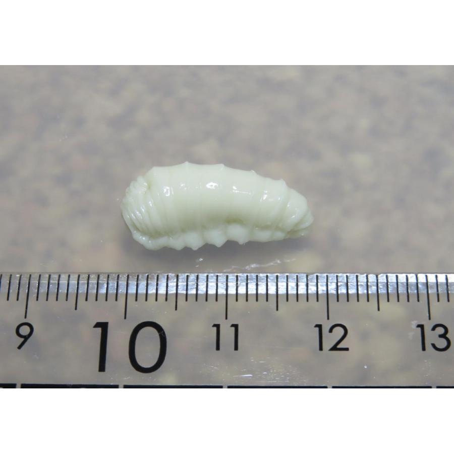 【疑似餌】ナチュラルフェイク　川用　ハチ（幼虫）