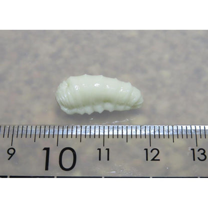 【疑似餌】ナチュラルフェイク　川用　ハチ（幼虫）