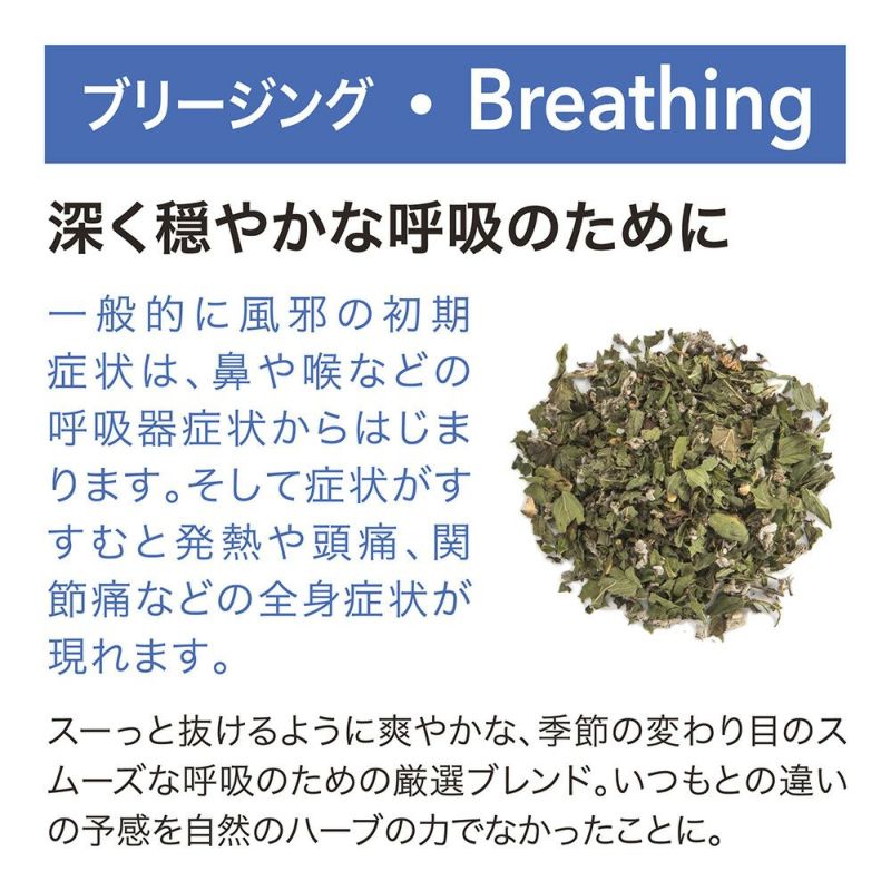 【フレーバー小瓶サンプル付き】ハーブブリュワー　HERB BREWER ×7