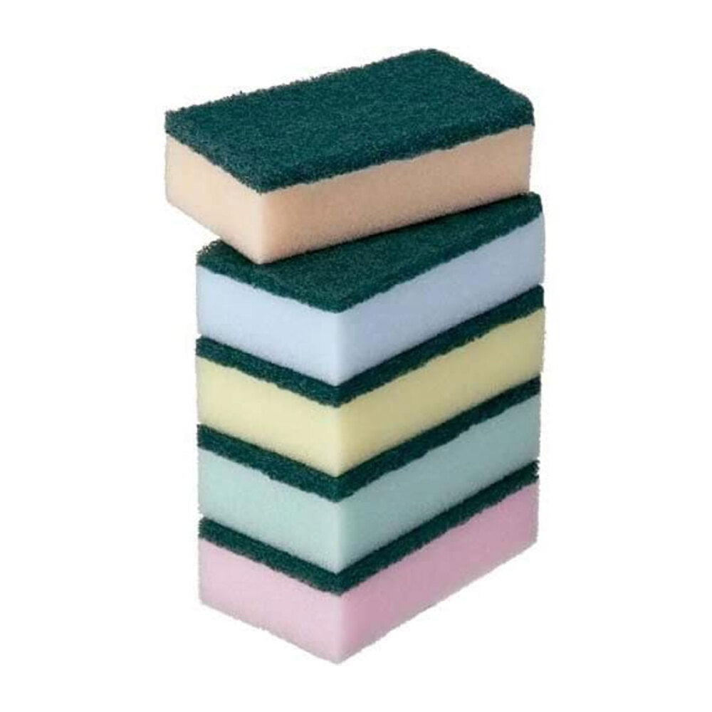 ハードスポンジ 1パック5個入×10個